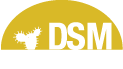 Desert Sun Mining logo